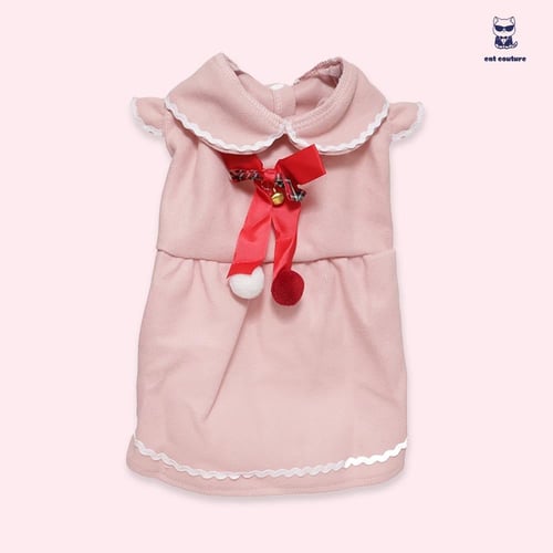 لبس قطط أنيق