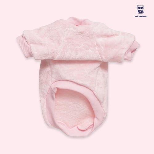 لبس قطط منزلي