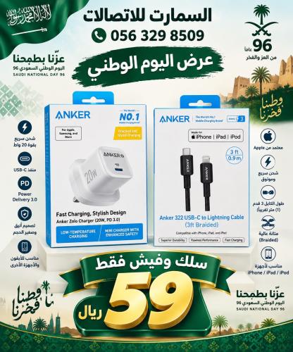 راس جداري انكر 20W + سلك