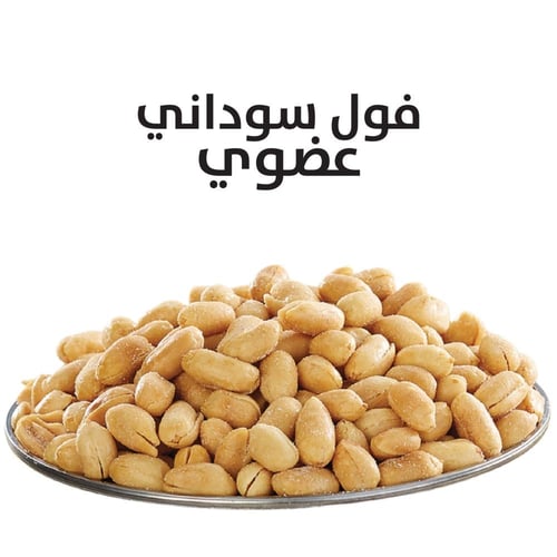 فول سوداني عضوي محمّص بدون ملح – 450 جم | ريجانو