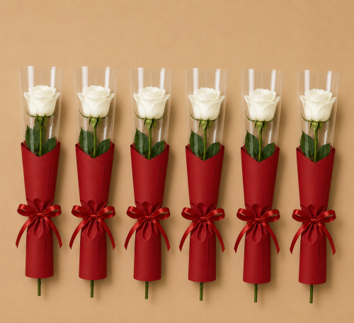 توزيعات جوري أبيض مع غلاف أحمر | White Rose Collec...