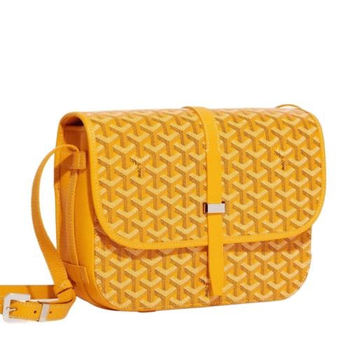 Goyard Bag- Y