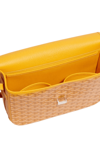 Goyard Bag- Y