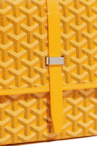 Goyard Bag- Y