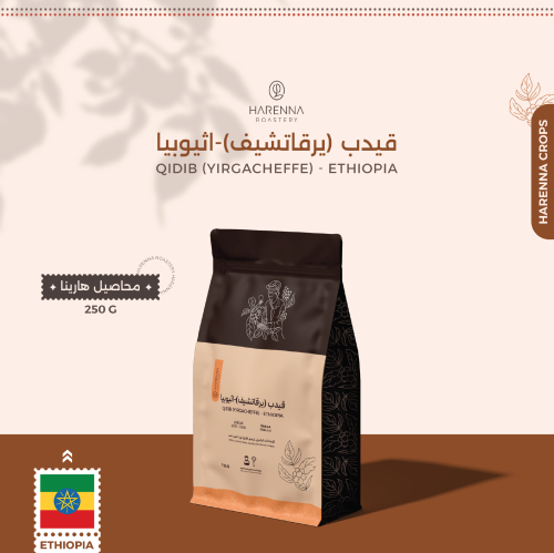 قيدب يرقاتشيف - اثيوبيا