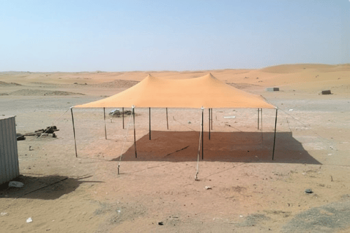 مضلات غنم وطني 95 % جميع المقاسات