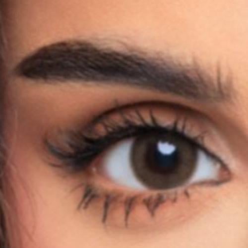 افل عدسات يومية-بالم