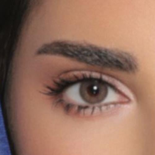 عدسات ليمونس الشهرية-الموند