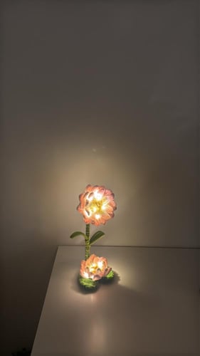 زهرة اللوتس