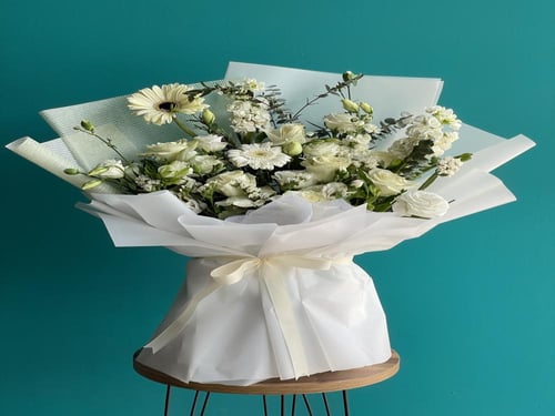 باقة الجلبيرا