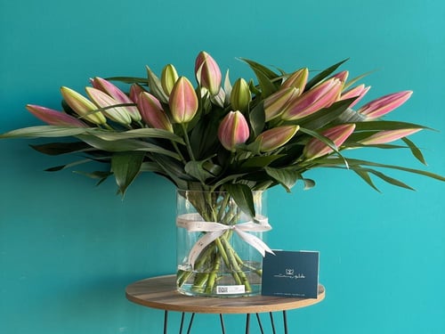 فازة الجمال