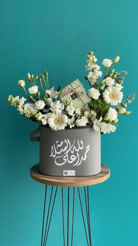 هدية سلامة باتشي