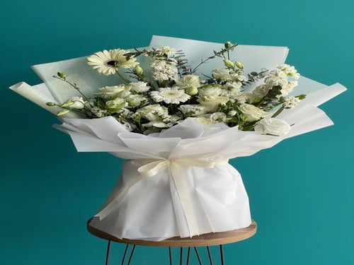 باقة الجلبيرا