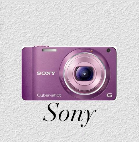 Sony cybershot DSC-WX10