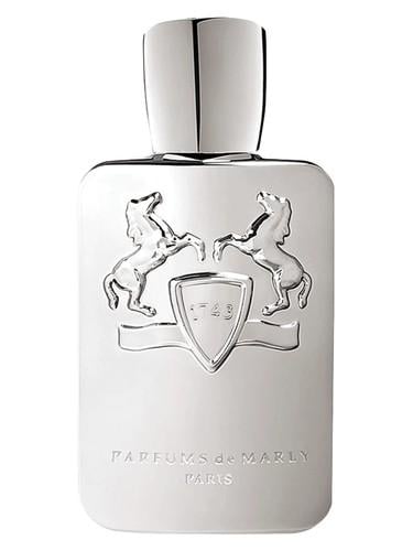 بديل مارلي بيجاسوس / Marly pegasus