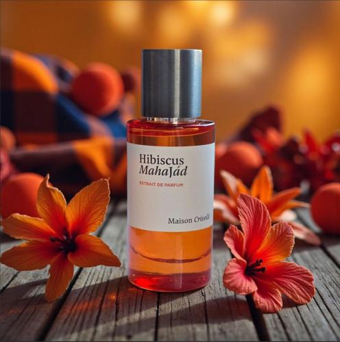 هابيسكاس ماهجاد ميزون كريفيلي Hibiscus Mahajád Mai...