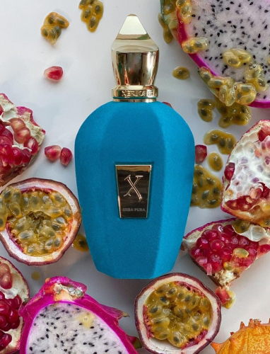 ايربا بورا زيرجوف Erba Pura Xerjof