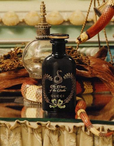 ذا فويس أوف ذا سنيك قوتشي The Voice Of The Snake E...