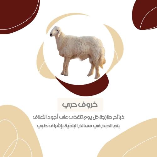 حري 7 شهور فاخر