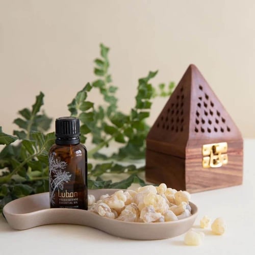 لبان عماني فاخر للبخور