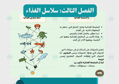 مطوية سلاسل الغذاء