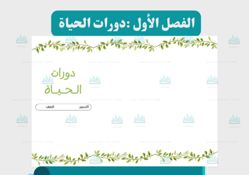 دورات الحياة