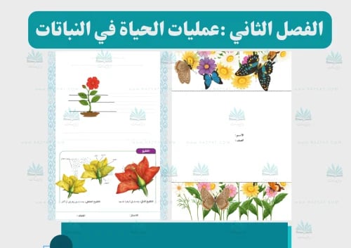 مطوية عمليات الحياة في النباتات علوم سادس ابتدائي...