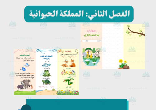 مطوية الحيوانات الفقاريّة