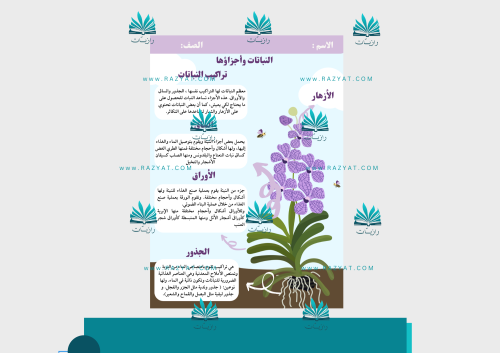 مطوية النباتات وأجزاؤها