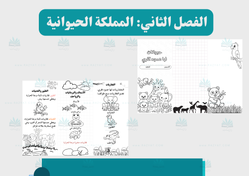 مطوية الحيوانات الفقاريّة (قابلة للتلوين)