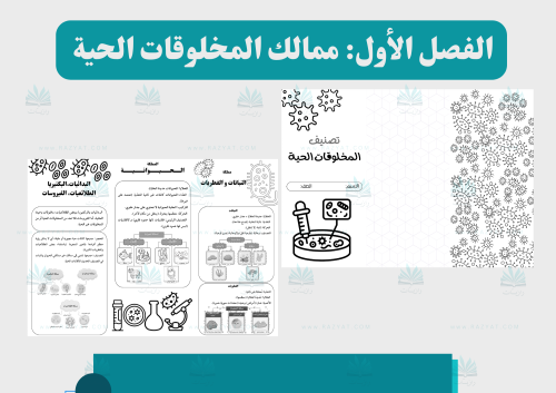 مطوية تصنيف المخلوقات الحية (قابلة للتلوين)
