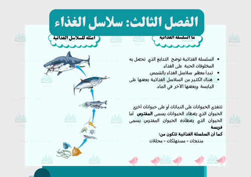 مطوية سلاسل الغذاء