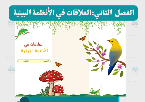 العلاقات في الأنظمة البيئية