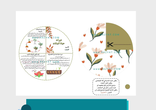 مطوية دورات حياة النباتات