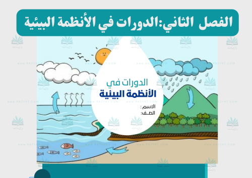 الدورات في الأنظمة البيئية