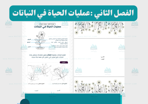 مطوية عمليات الحياة في النباتات علوم سادس ابتدائي...
