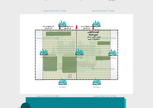مطوية ممالك المخلوقات الحية ( مفرغة)