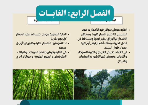 مطوية الغابات