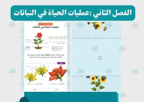 مطوية عمليات الحياة في النباتات علوم سادس ابتدائي جاهزة للطباعة PDF