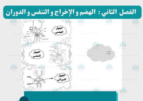 مطوية الهضم و الإخراج و التنفس و الدوران علوم سادس ابتدائي - اقتصادية للطباعة PDF