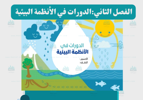 الدورات في الأنظمة البيئية