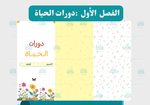 دورات الحياة
