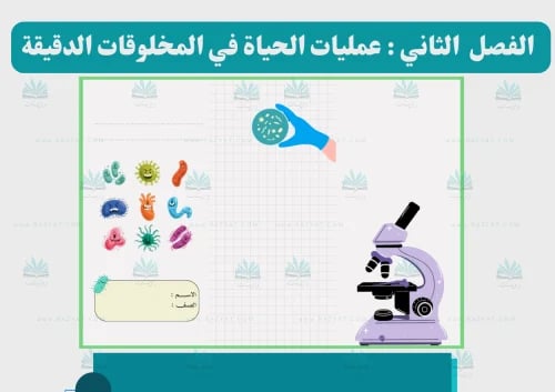 مطوية عمليات الحياة في المخلوقات الدقيقة علوم سادس ابتدائي - مفرغة PDF