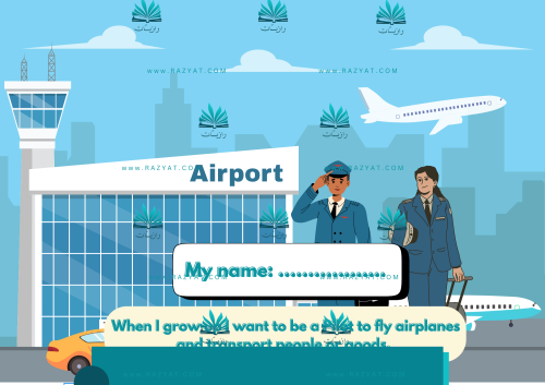 مهنة الطيار