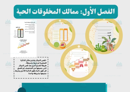 مطوية الخلايا (مفرغة)