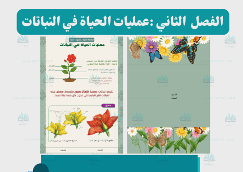 مطوية عمليات الحياة في النباتات علوم سادس ابتدائي جاهزة للطباعة PDF