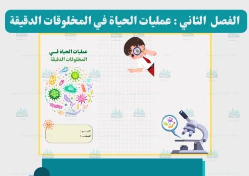 مطوية عمليات الحياة في المخلوقات الدقيقة علوم سادس ابتدائي جاهزة للطباعة PDF
