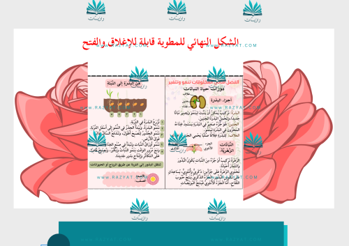 مطوية دورات حياة النباتات