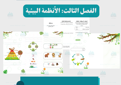 مطوية العلاقات في الأنظمة البيئية (مفرغة)