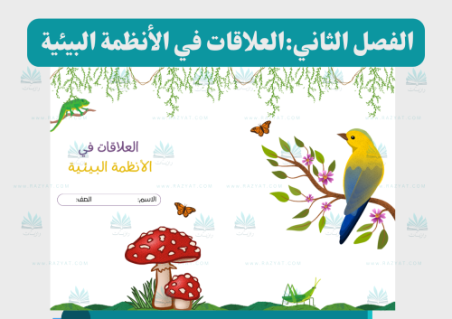 العلاقات في الأنظمة البيئية